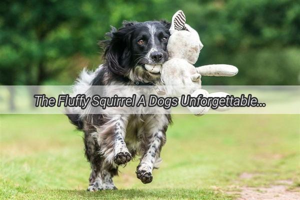 The Fluffy Squirrel A Dogs Unforgettable Adventure